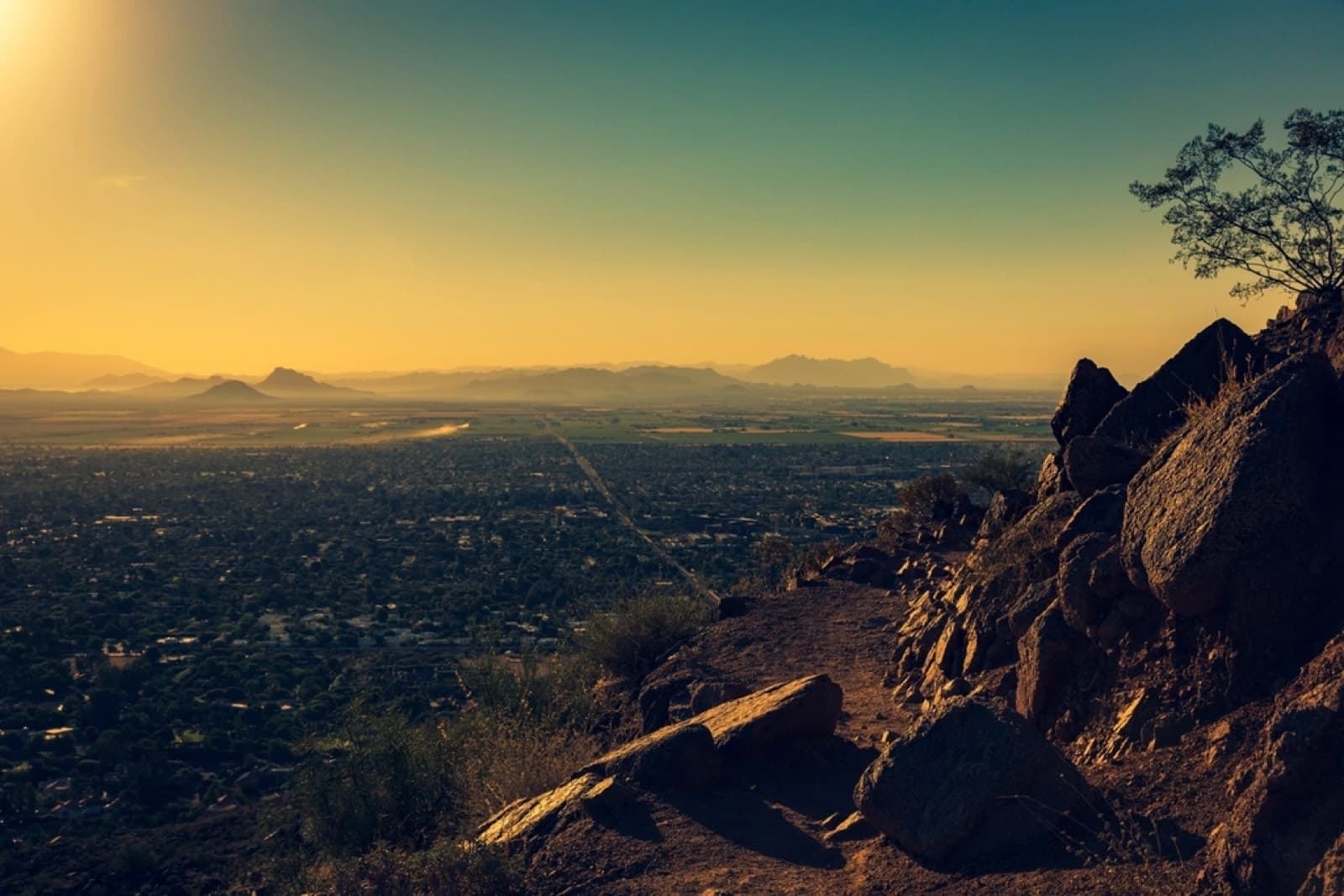 Phoenix