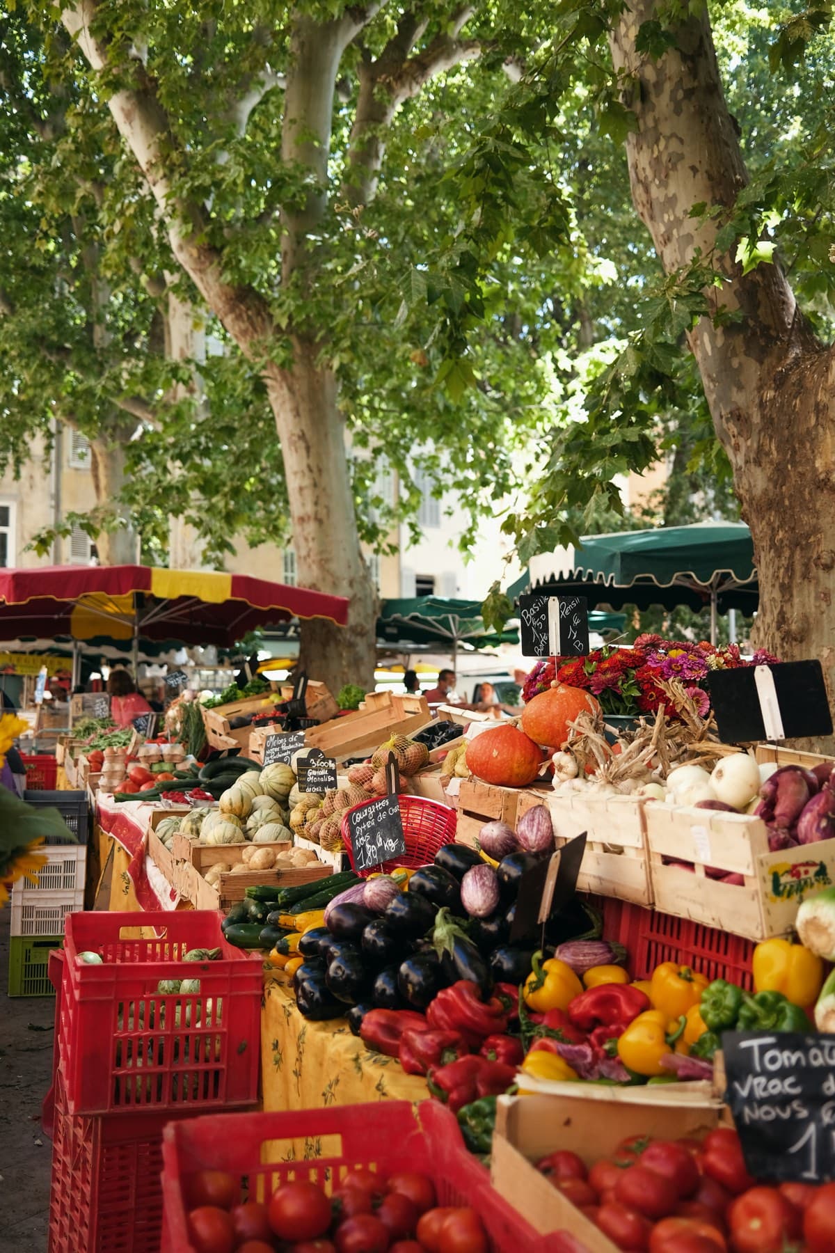 Farmers' market stalls piled with fresh produce under leafy trees